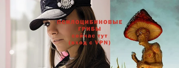 spice Михайлов